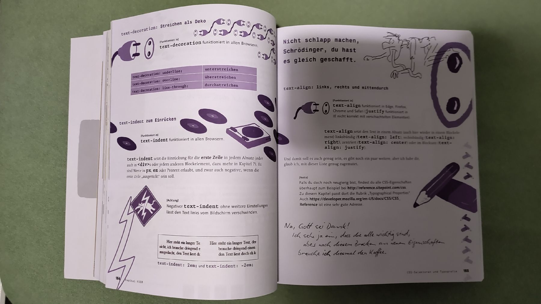 Bücher: Schrödinger lernt HTML5,CSS,JavaScript - Top Zustand! – Gebraucht aus Walenstadt von risoluto 2