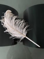 Rare! Stylo vintage plume d’autruche Martin Margiela