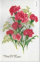 Vive Ste Marie - Astern, Fleurs Gil perlees (beschichtet)