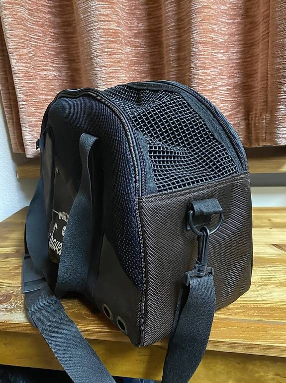 Borse: Hunde-Tragtasche – Usato da Cazis venduto da arinba 1