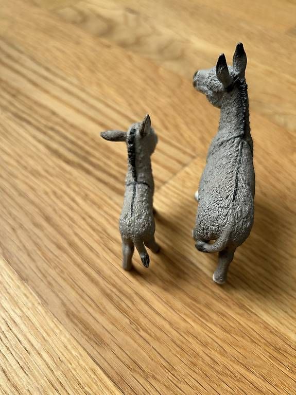 Schleich Jouets: Schleich-Set Eselmutter mit Fohlen – D'occasion à Rüfenacht BE par Claudia_sch 1