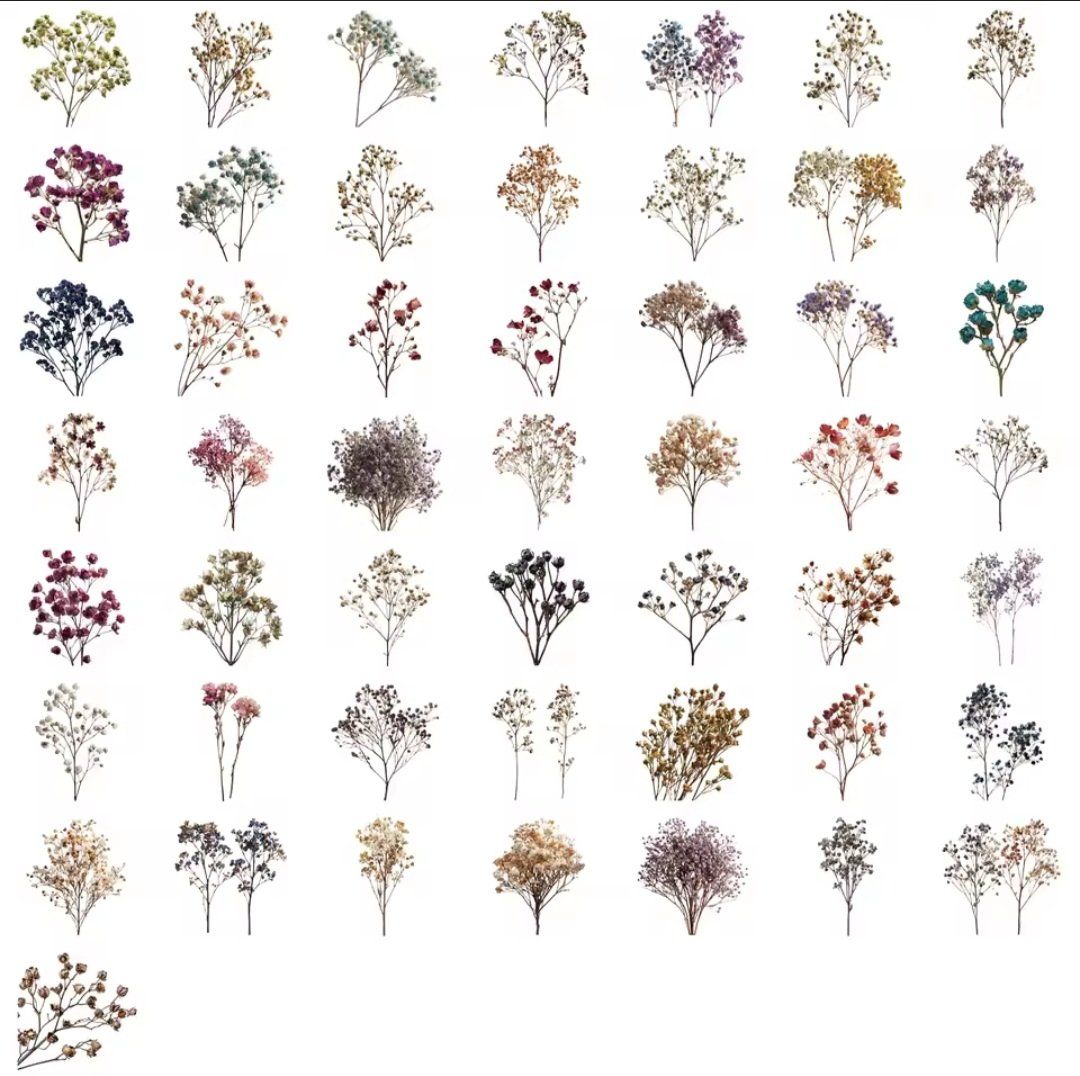 Aufkleber: 50 Aufkleber Sticker - getrocknete Blumen – Neu und originalverpackt aus Basel von kun_2hnm 1