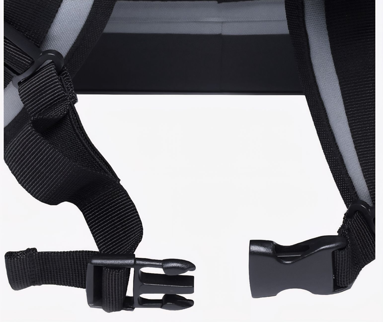 Borse: COLEMAN Premium Soft Kühltasche/Rucksack – Nuovo (secondo la descrizione) da Windisch venduto da Firstspace 4