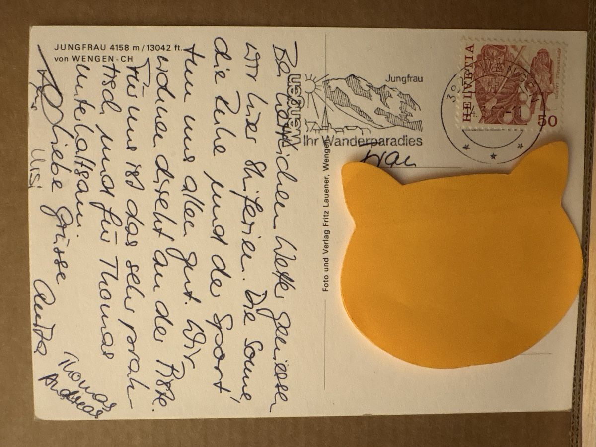 Cartoline postali: AK von Bergpanorama Jungfrau – Usato da Rümlang venduto da Kartenpost1 1