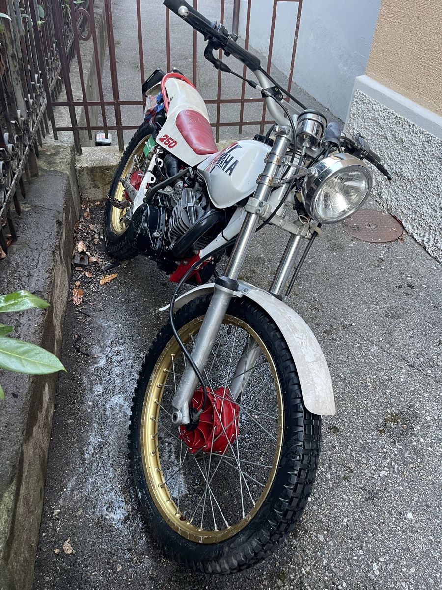 Yamaha Altro: Yamaha TY 250 Mit Ausweis – Usato da Lugano venduto da Theface 2
