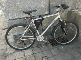 Interbike Mountainbike M-7002H 19 Alu-poliert