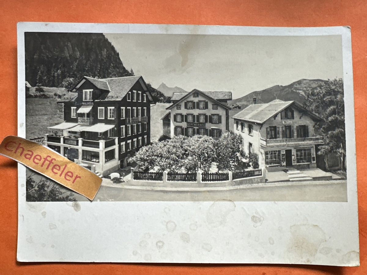 Ansichtskarten: Hotel Waldegg, Seelisberg – Gebraucht aus Zürich von Chaeffeler