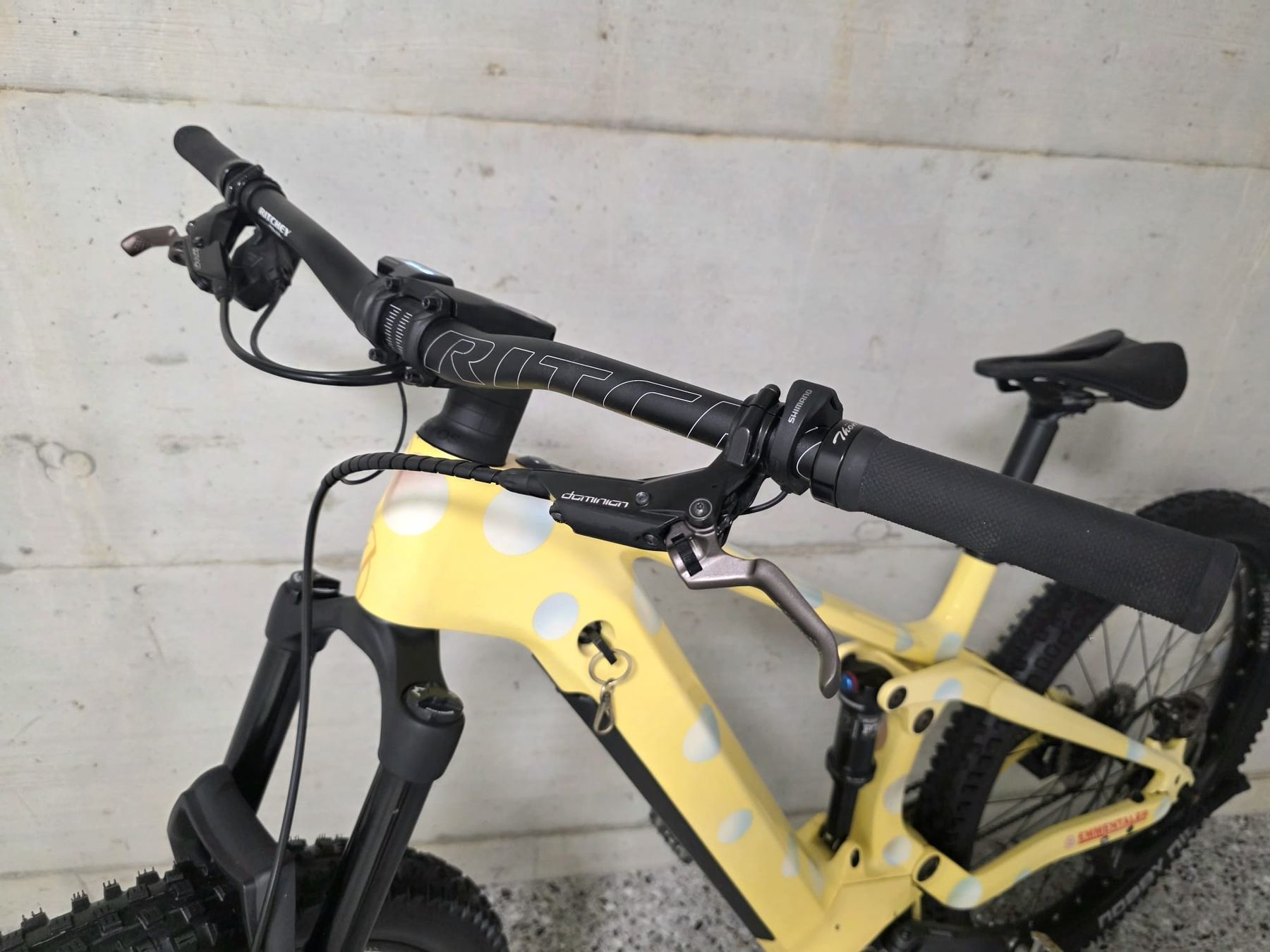 Thömus Biciclette: Thömus Lightrider E2 Custom EBike neuwertig – Usato da Hägendorf venduto da lua_f96g 9