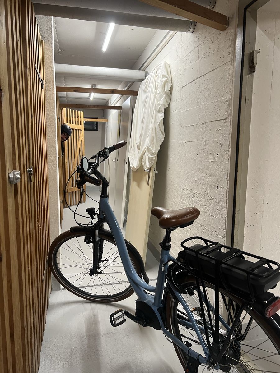 Riese & Müller Biciclette: Riese & Müller Swing City bike – Usato da Zürich venduto da jkbkr 2