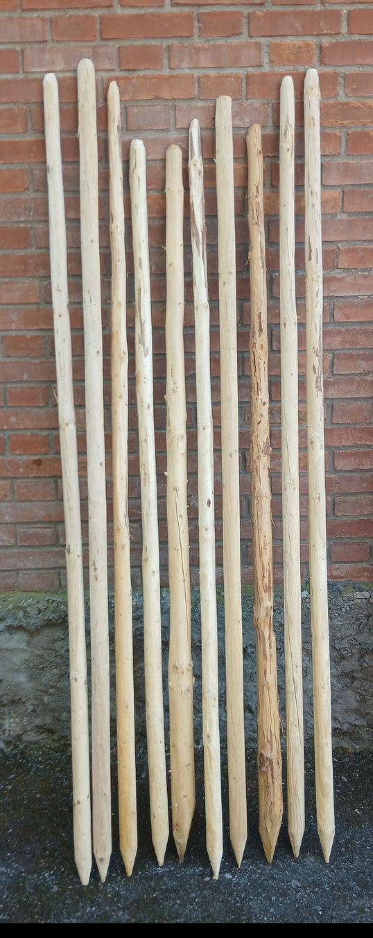 Altre attrezzature per stalle: Pfähle 2m – Nuovo (secondo la descrizione) da Brenzikofen venduto da Nramseier