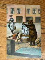 Antike Postkarte, Bärenkarte, ungelaufen