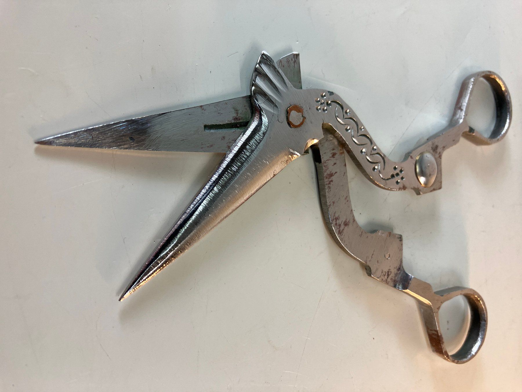 Tutti gli attrezzi: Klappschere mit Etui – Usato da Horw venduto da luzernicus 2