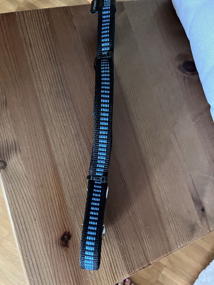 Collier et laisse: Schleppleine neu – Neuf (Voir description) à Niederhasli par JUPOGI 1