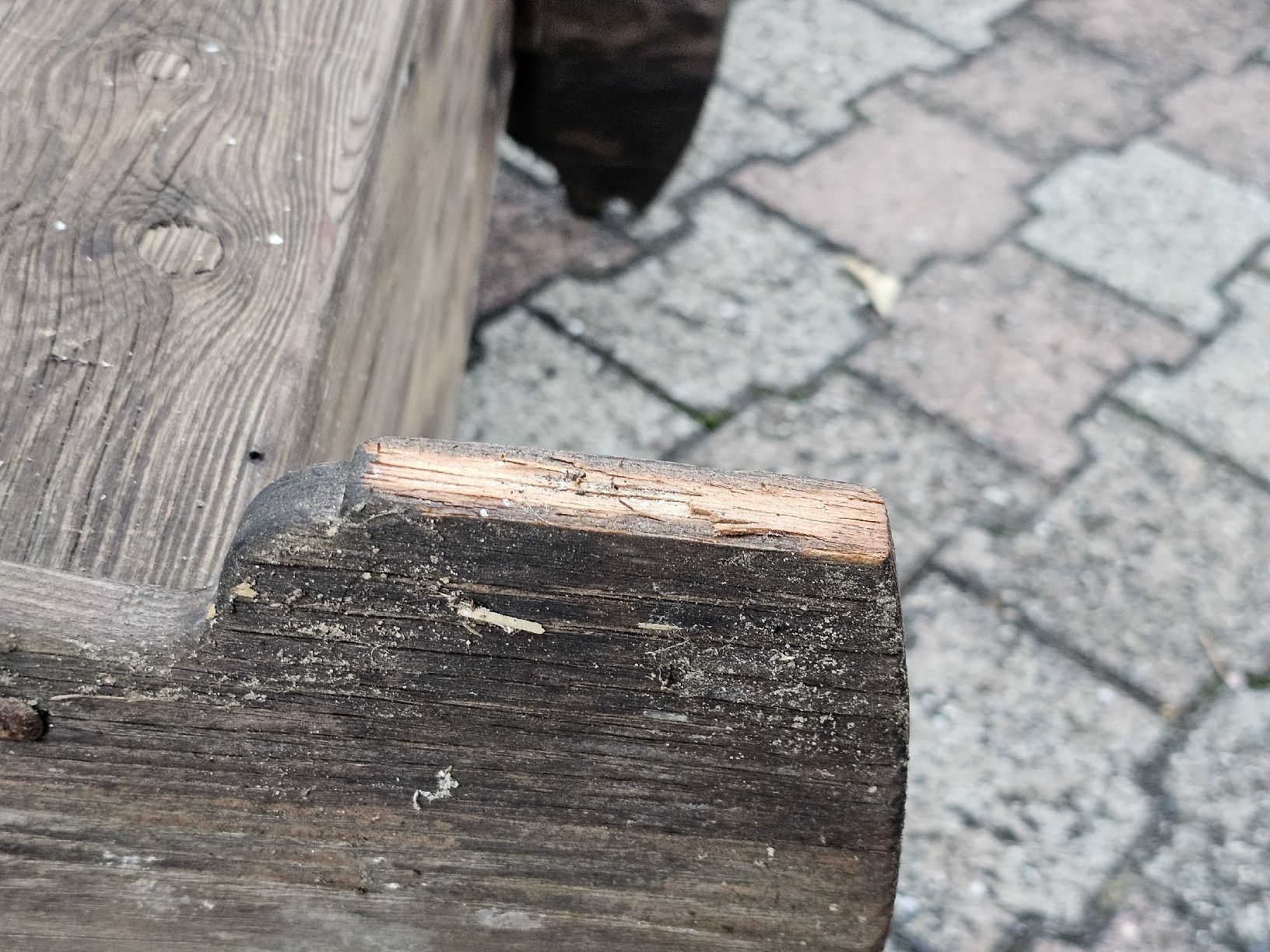 Lits: Alpwiege aus Holz – D'occasion à Meisterschwanden par Hummer21 4