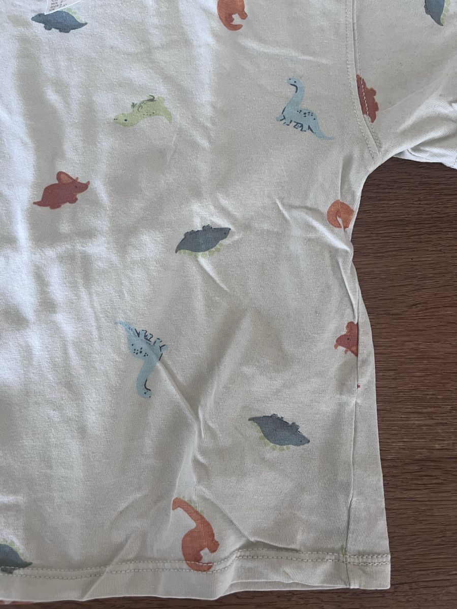 H&M Hemden, T-Shirts & Polos: H&M Dino Tshirt Gr. 98 – Gebraucht aus Zollikerberg von LLV 3