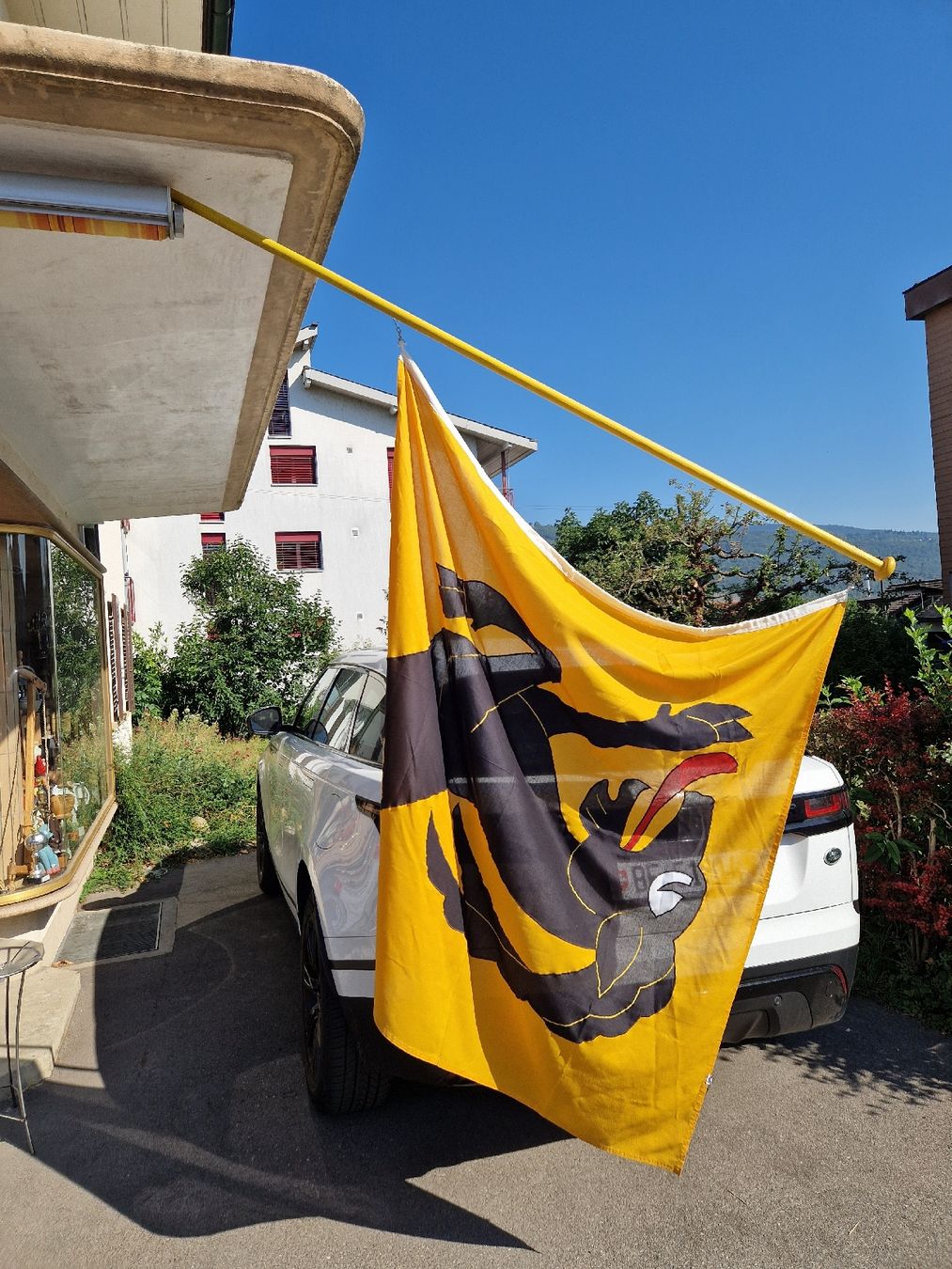 Bandiere: Fahnemast mit Wappentier schwarz-gelb Grösse ca 150cm – Usato da Mörigen venduto da Clio111 6