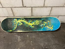 Skateboard, Rollbrett