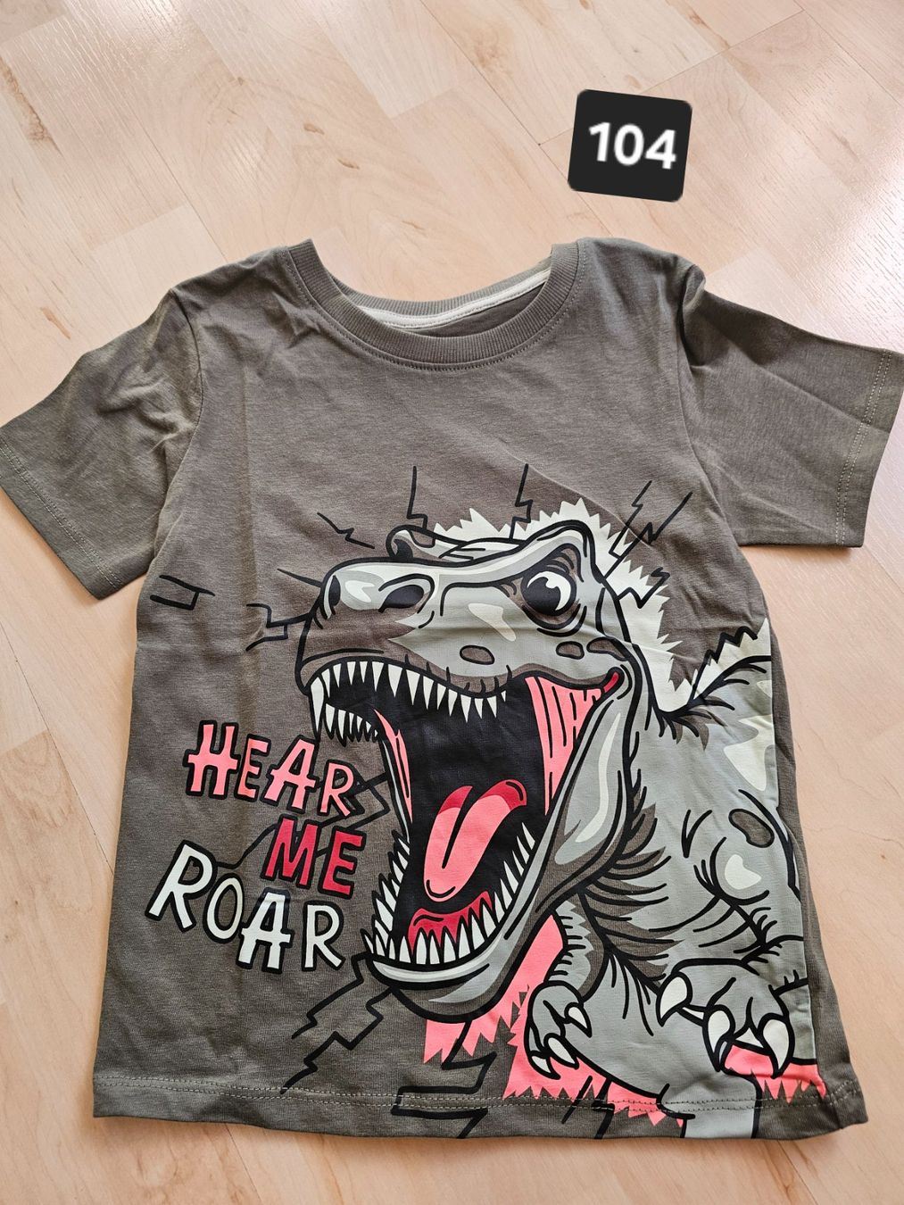 Camicie, T-shirt & Polo: Dinoshirt Grösse 104 – Nuovo (secondo la descrizione) da Balterswil venduto da Dikdik1992