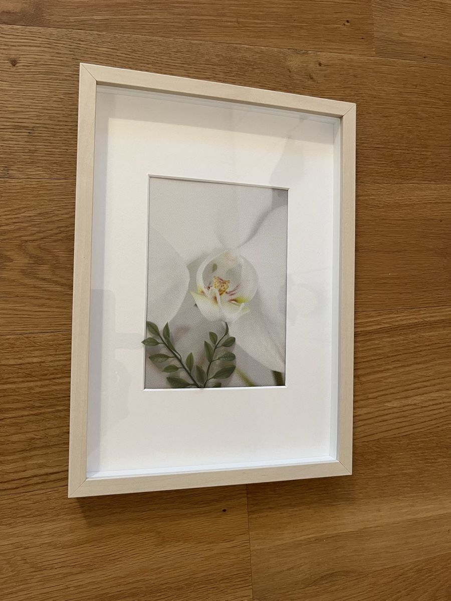Foto & Immagini: Bild mit Rahmen Orchidée klein – Usato da Rotkreuz venduto da rinchee