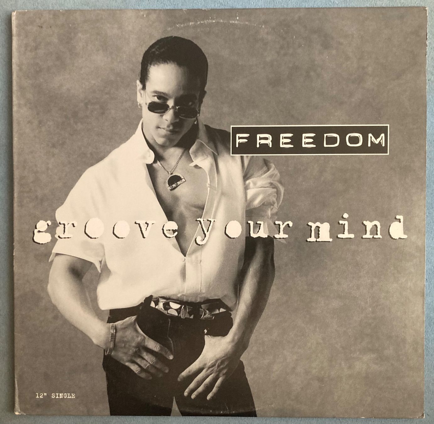 Vinyles: FREEDOM WILLIAMS - GROOVE YOUR MIND – D'occasion à Poliez-Pittet par Newtown-Records