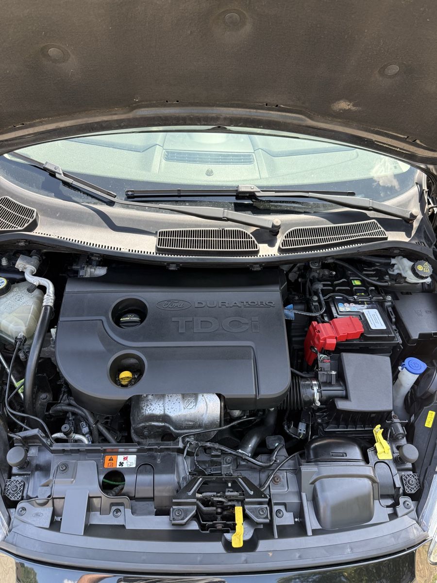 Ford Autos: Ford Fiesta 1.5 TDCI Ambiente – Gebraucht aus Biberist von tig_dkk2 8
