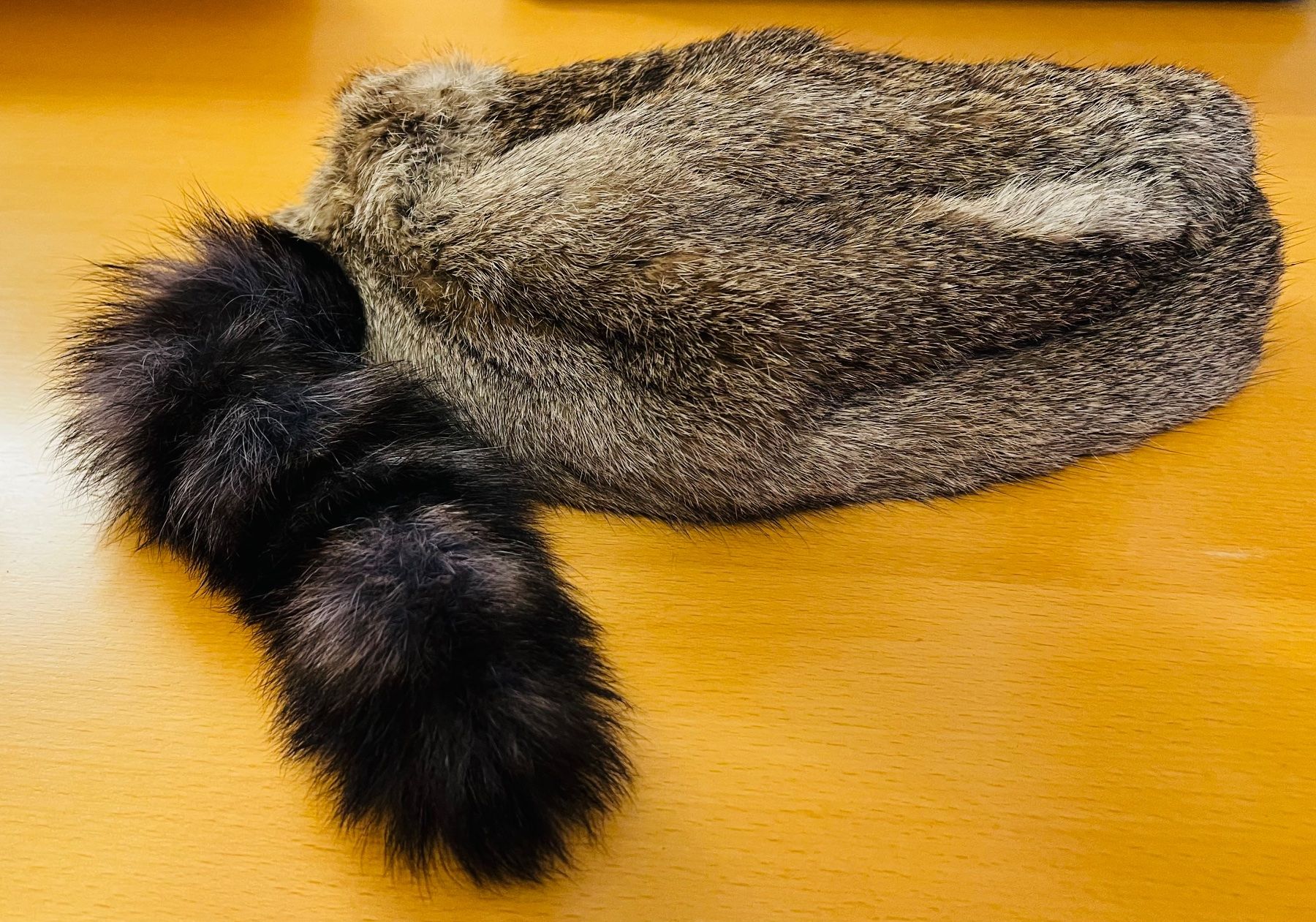 Copricapi, berretti & cappellini: Fellmütze à la Davy Crockett – Usato da Endingen venduto da chocosweet 3