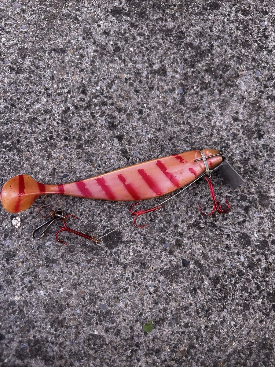 Esche: 5 Swimbait Gummifische – Usato da Steckborn venduto da bra_f7jy 4