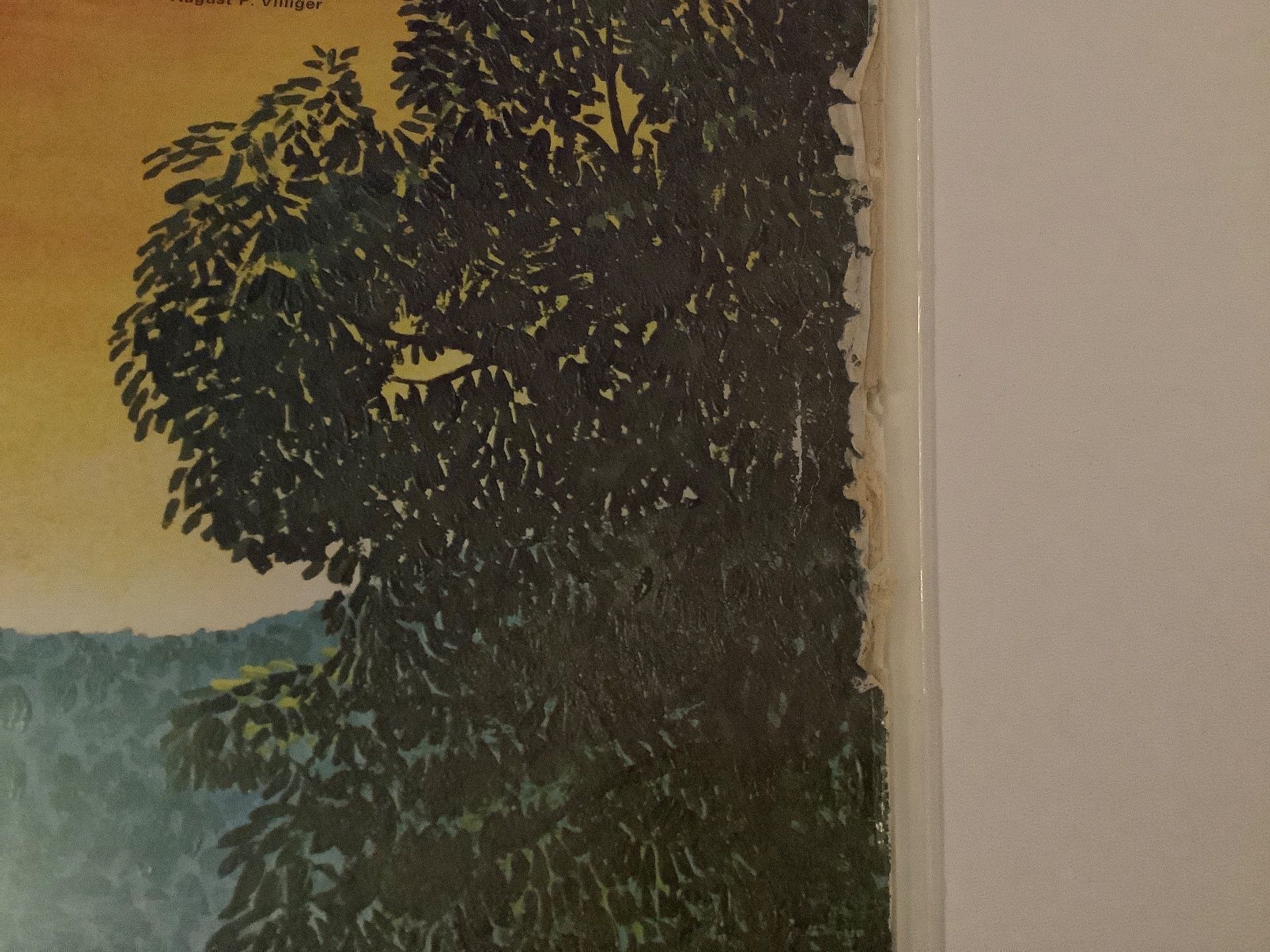 Dischi in vinile: Toni Vescoli LP - Guete Morge – Usato da Gutenswil venduto da Hamzian 2