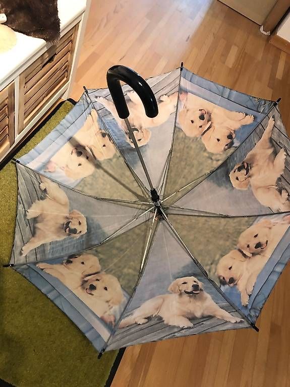 Sonstiges für Kind & Baby: Kinderregenschirm Golden Retriver Hunde – Neu (gemäss Beschreibung) aus Seuzach von Rockyalps 1
