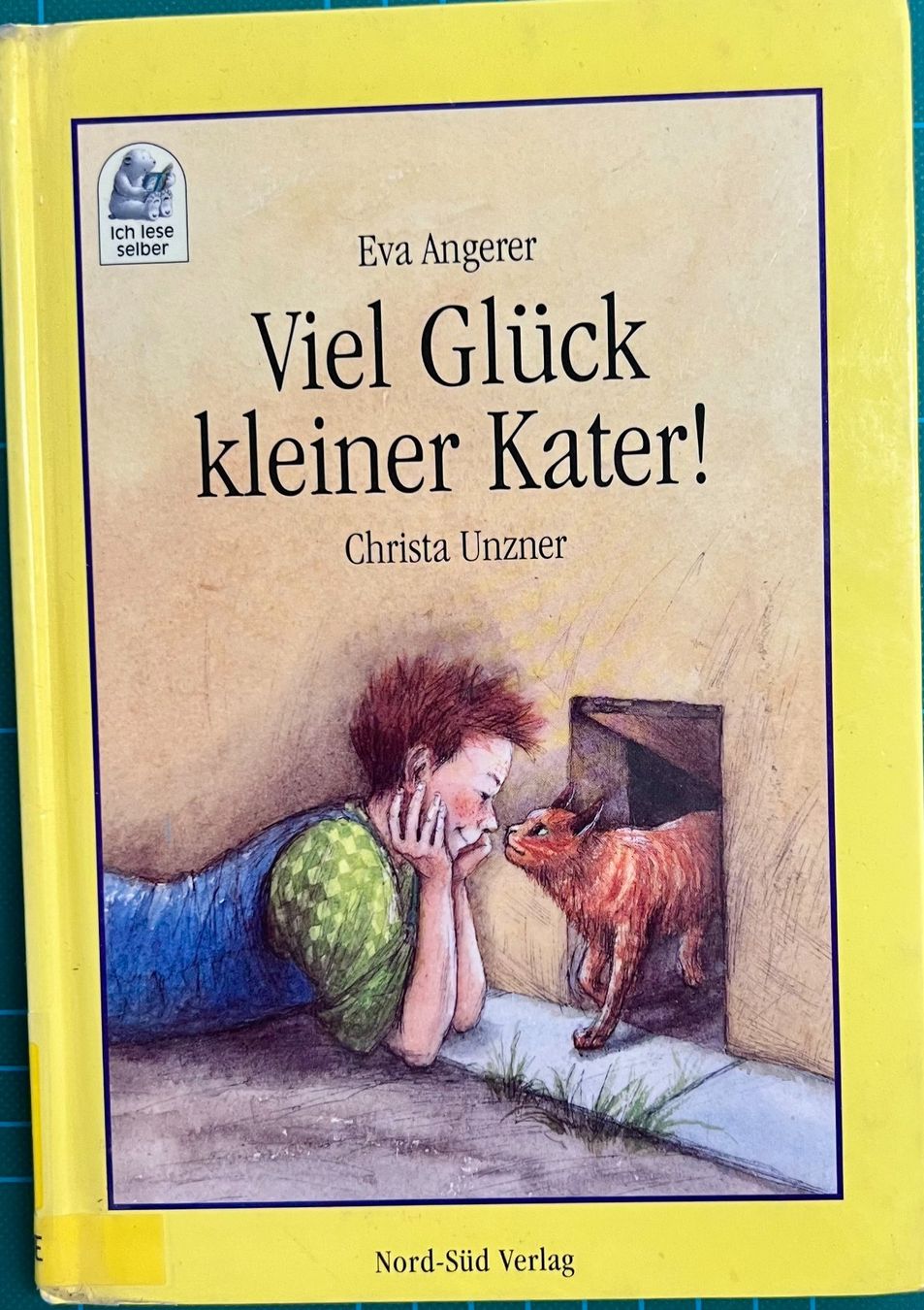 Libri: Buch - Viel Glück kleiner Kater – Usato da Leimbach TG venduto da manu-tg