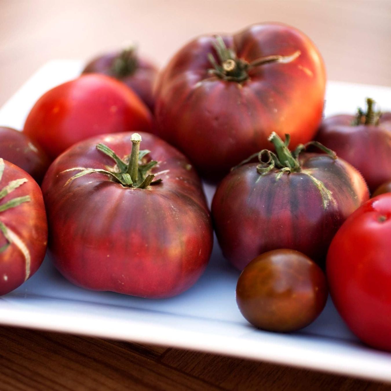 Piante & sementi: 50 Samen TOMATE BLACK RUSSIAN Alte Sorte – Nuovo (secondo la descrizione) da Ehrendingen venduto da VerveinaSamen