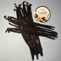 Vanille aus Madagaskar 🇲🇬