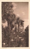 Brissago (TI) Torre campanaria con palme Schloss