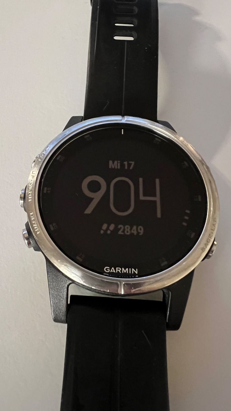Garmin Smartwatch: Garmin Fenix 5S plus – Gebraucht aus Bern von