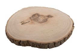 Esche Holz Rindenscheibe rund 19-20cm