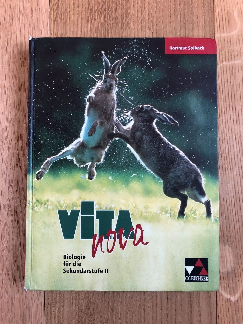 Libri: Vita nova – Usato da Erlen venduto da SaFehr