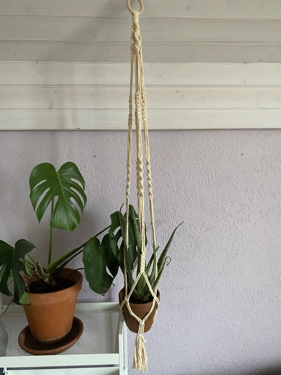 Tutte le decorazioni: Handgemachter Makramee-Blumenampel, Top Zustand, Beige – Usato da Biel/Bienne venduto da van_6qsl 3