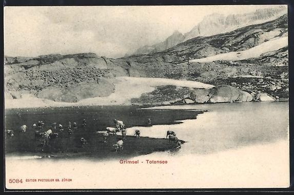 Cartoline postali: AK Grimsel, Totensee mit Kühen – Usato da Berlin venduto da bartko-reher