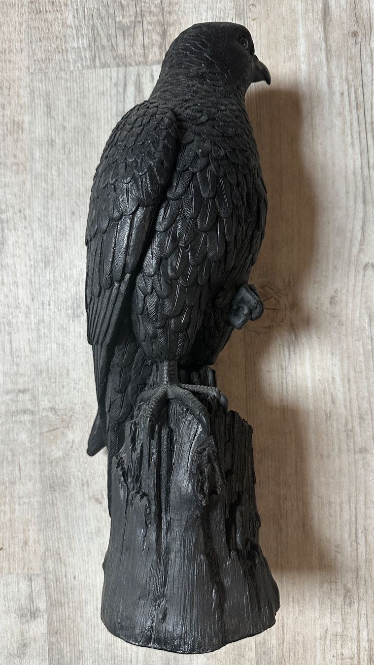 Skulpturen & Statuen: Schwarzer Raubvogel, Skulptur, Figur, Garten Deko – Gebraucht aus Arisdorf von nde_q52j 4
