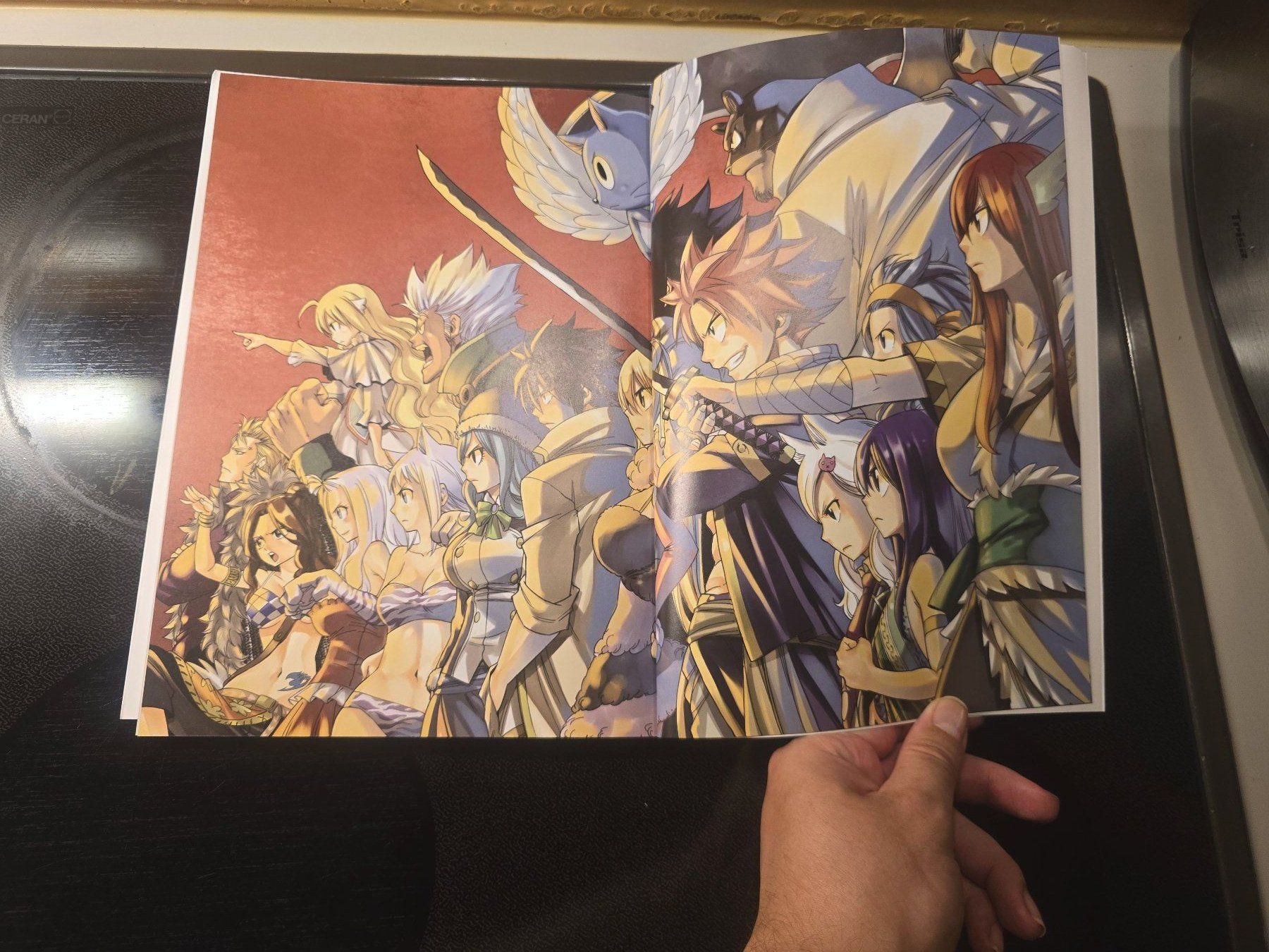 Comics: Fairy Tail Artbook – Gebraucht aus Schaffhausen von K.Ichimaru 1