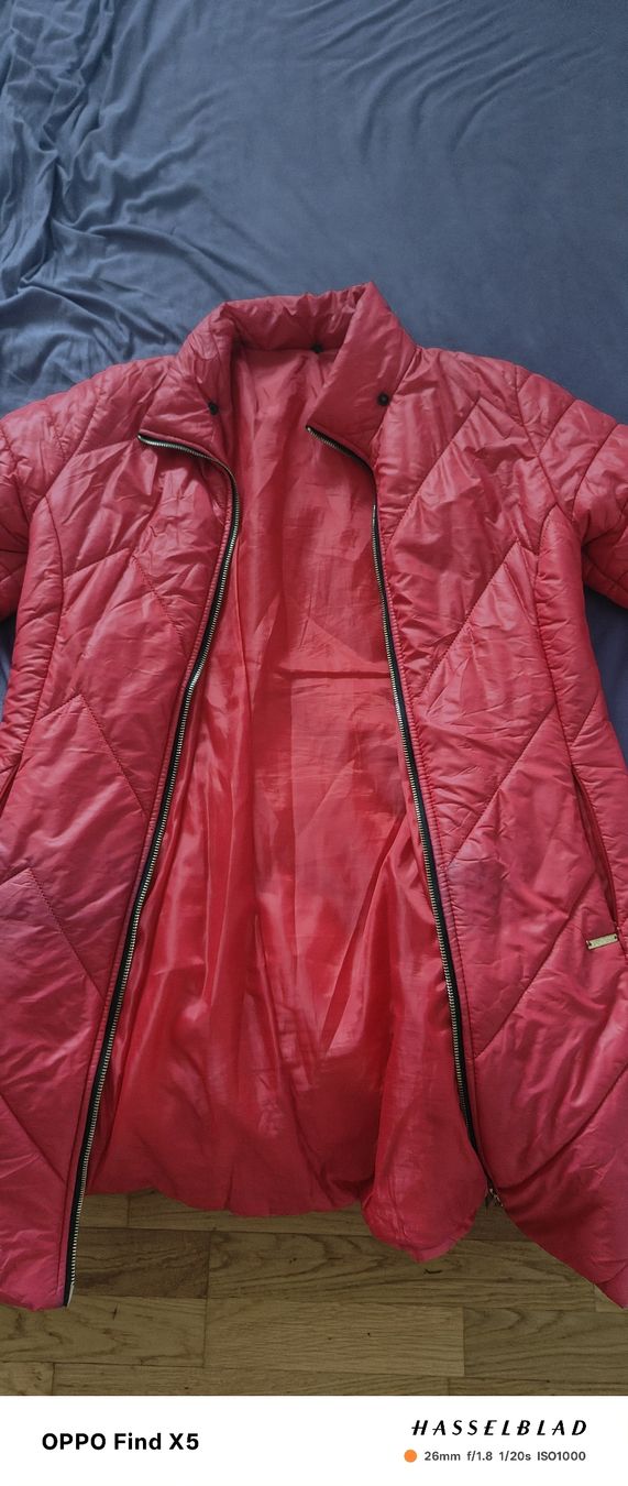 Giacche: Damen Windjacke Gröss L – Usato da Unterentfelden venduto da igs_nj72