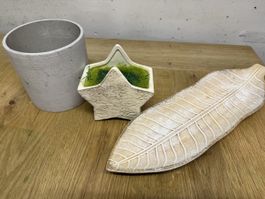 Deko Set 3-teilig Betontopf Sternschale Blatt Design