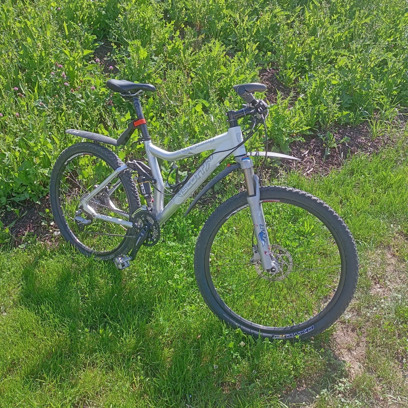 Scott Biciclette: SCOTT Contessa FX 15 – Usato da Egliswil venduto da fam_98x2