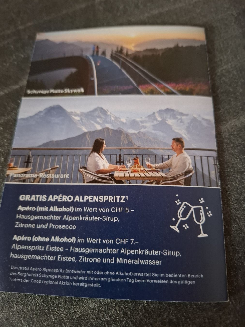 Buoni: Schynige Platte Coop Rabatt 30% auf Bahnfahrt mit Code – Nuovo (secondo la descrizione) da Zuchwil venduto da bvj_5t82 4