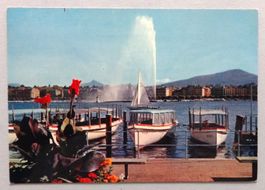 Genève - Les bateaux "Mouettes", le jet d' eau