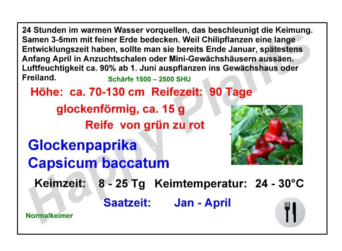 Pflanzen & Samen: Glockenpaprika - Capsicum baccatum - 25 Samen – Neu und originalverpackt aus Sumiswald von Cham14559 3