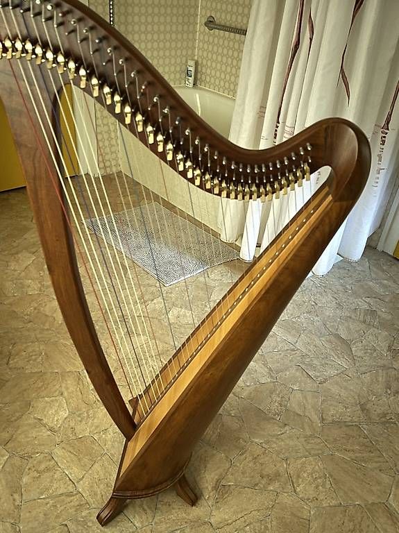 Strumenti musicali: Wunderbare Harfe – Usato da Meiringen venduto da Bignoddy