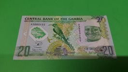 20 Dalasis Banknote Gambia - Selten, neuwertig! Afrika