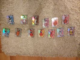 13 Panini ICON's