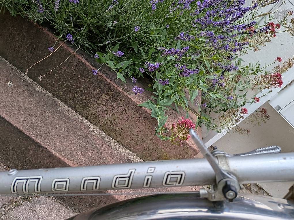 Biciclette: Mondia Classic Velo – Usato da Riehen venduto da erh_ls6b 4